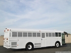 2003 Thomas Built Saf-T-Liner Prison Transport Bus