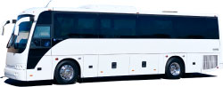 Buses